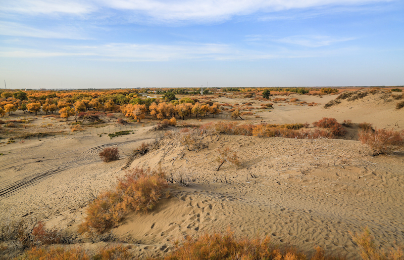 サービス提供エリア外