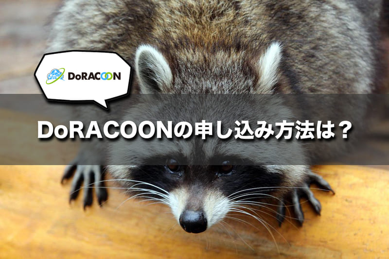 DoRACOONの申し込み方法と解約方法（法人・個人事業主のみ）