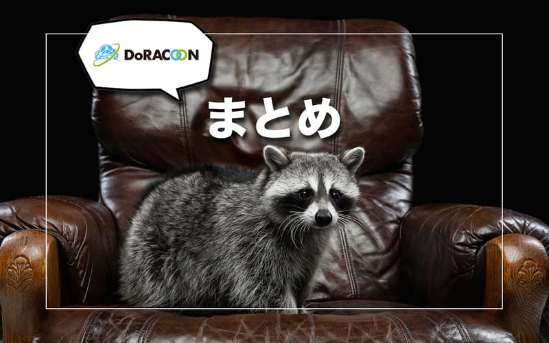DoRacoon（ドゥ・ラクーン）のレビューまとめ