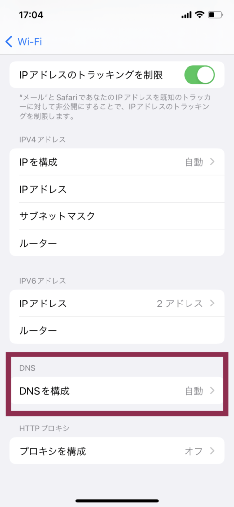 iPhoneのDNS設定