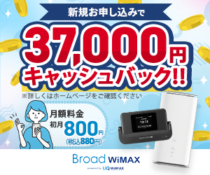 Broad WiMAX