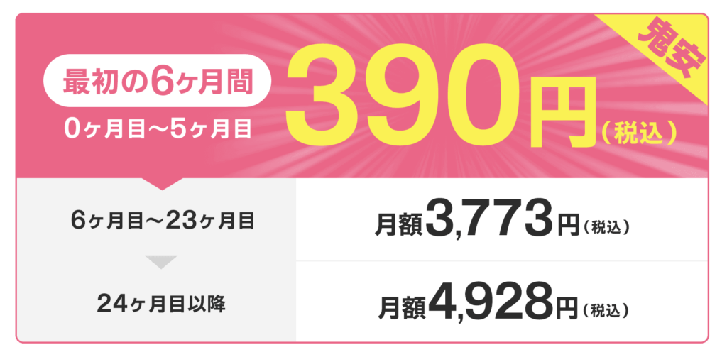 月額料金は当初6カ月間390円で利用できる