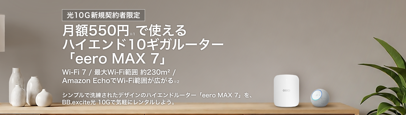 BB.excite光 公式サイト