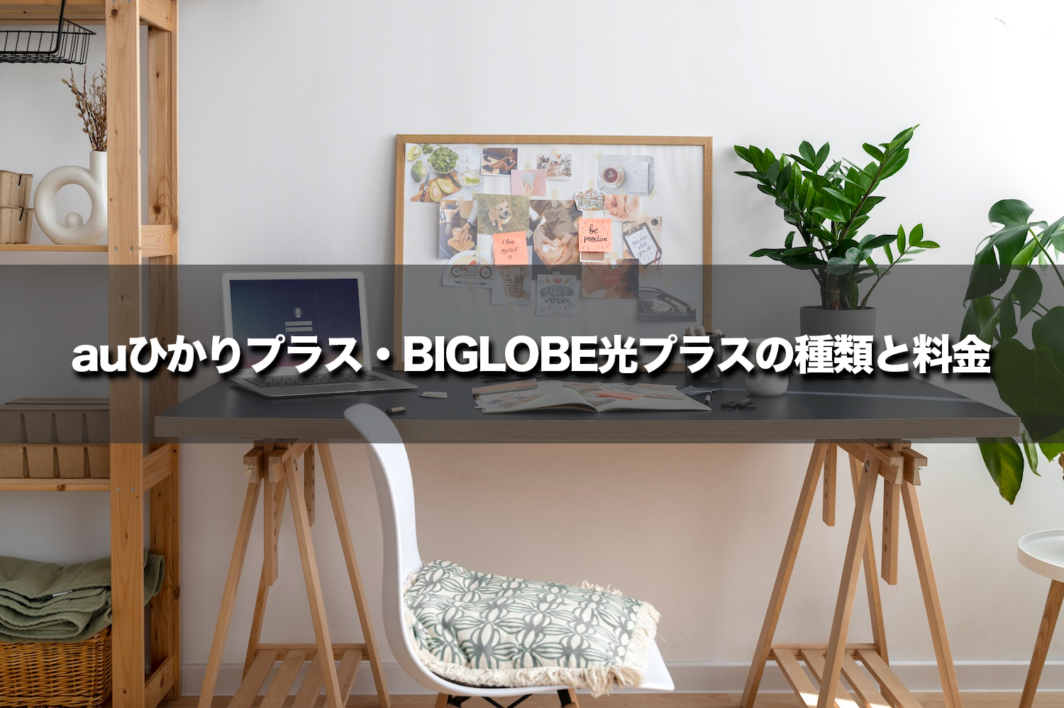 BIGLOBE光プラス・auひかりプラスの種類と料金