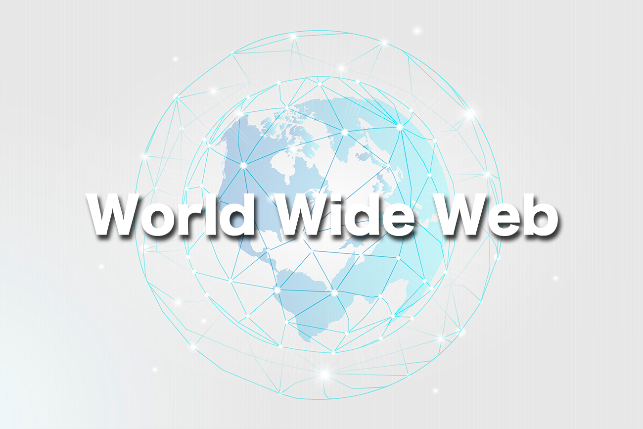 網のようにネットワークが繋がっている